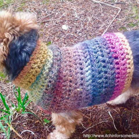 Small Dog Hoodie Sweater Pattern | Itchin' for some Stitchin'