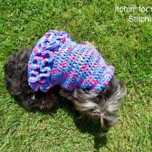 Ruffled Small Dog Sweater Pattern by www.itchinforsomestitchin.com