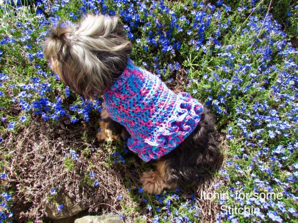 Small Dog Sweater with Ruffles Pattern by www.itchinforsomestitchin.com