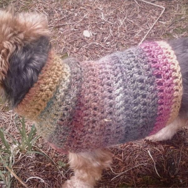 Small dog wearing a colorful striped crochet sweater in pink, purple, yellow, and gray tones. Beginner-friendly dog sweater pattern by Itchin’ for Some Stitchin’.
