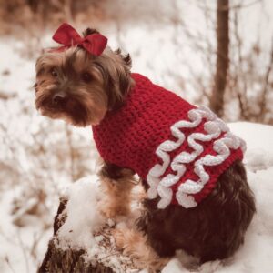 Small dog wearing a handmade red crochet sweater with white ruffles, sitting on a snow-covered surface outdoors. Featured image for Itchin’ for Some Stitchin’ crochet pattern.