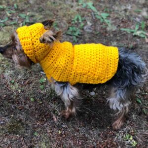 Small Dog Hoodie Sweater Pattern by itchinforsomestitchin.com