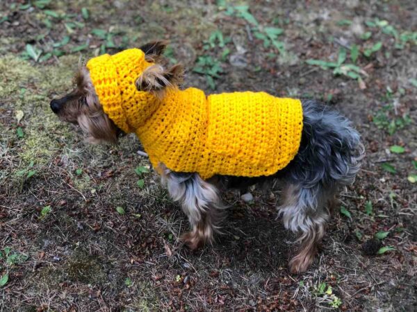 Small Dog Hoodie Sweater Pattern by itchinforsomestitchin.com